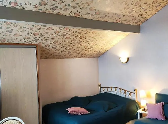 Studio Dans Villa Historique \